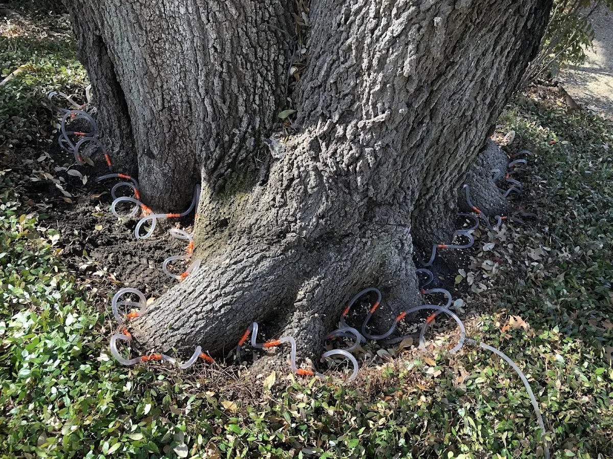Detailed Shrub and Hedge Trimming job site in Fleming Island