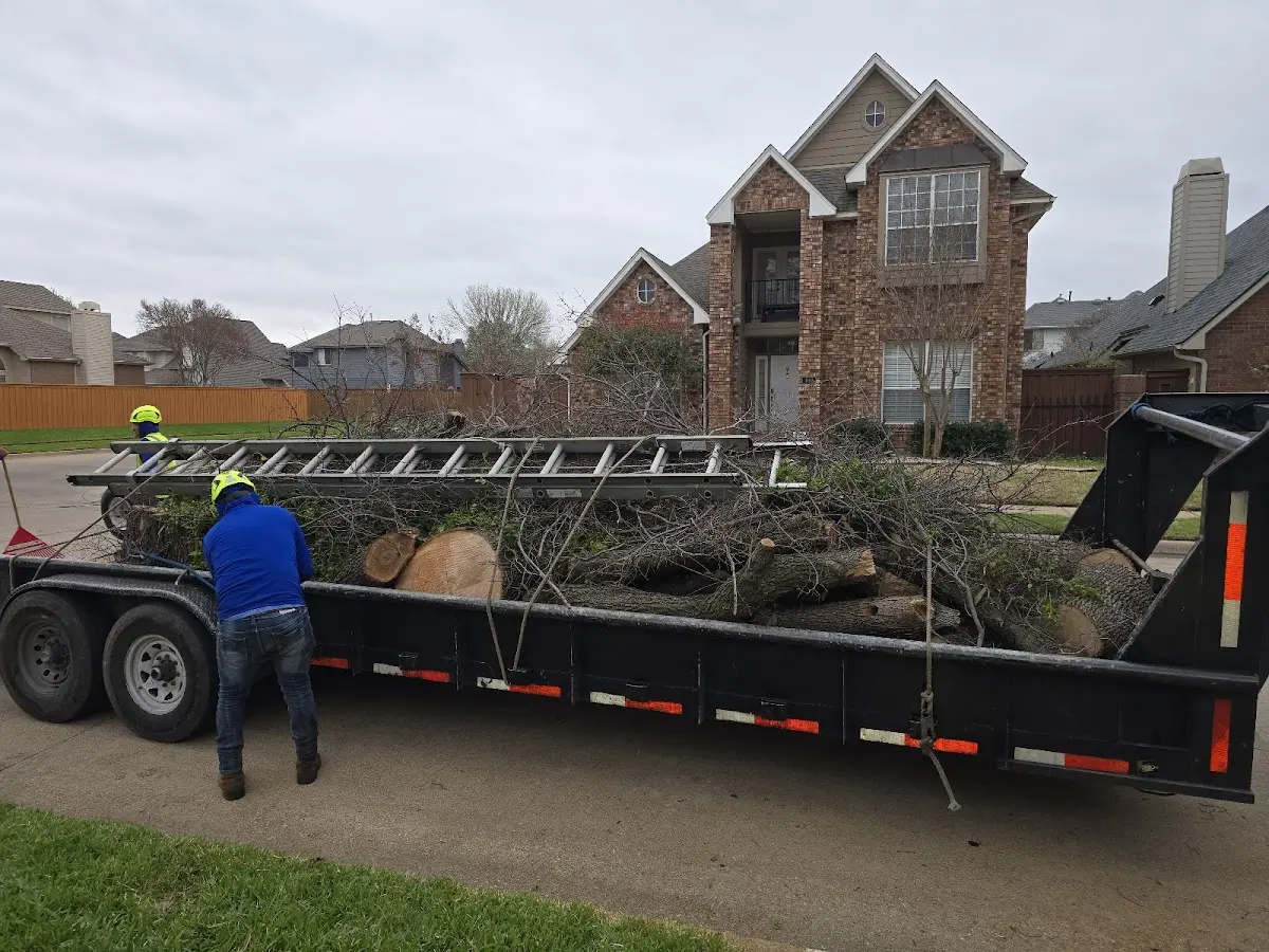 Expert Tree Fertilization with proper safety equipment in Fleming Island